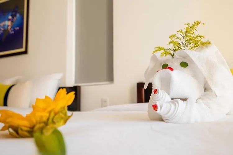 5 Coconut Villa Hội An